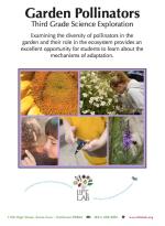 Garden Pollinators-3rd Grade Download